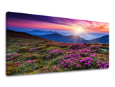PANORAMA Τοπιογραφία τοίχου Έκπτωση 60% 50X100 cm